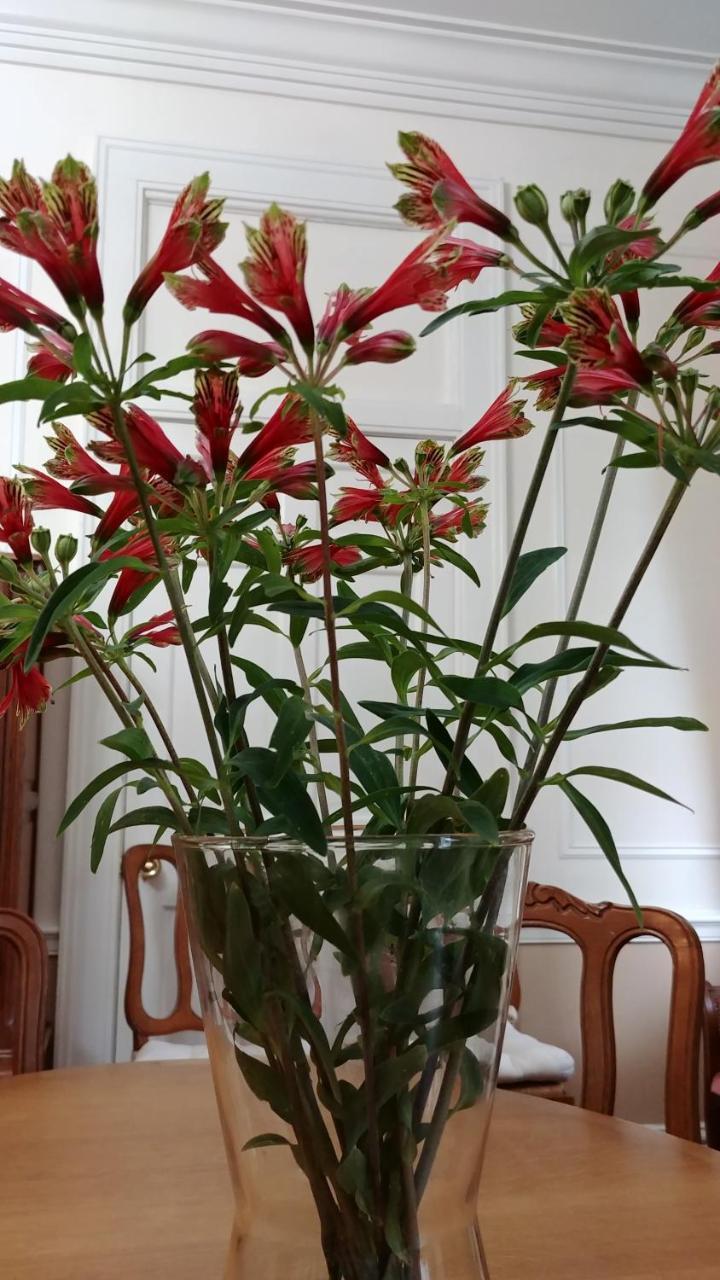 Fruits Of Vienna B&B 外观 照片